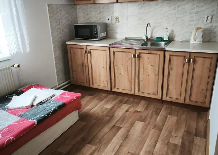 Πανσιόν Studanecky Medved 3*